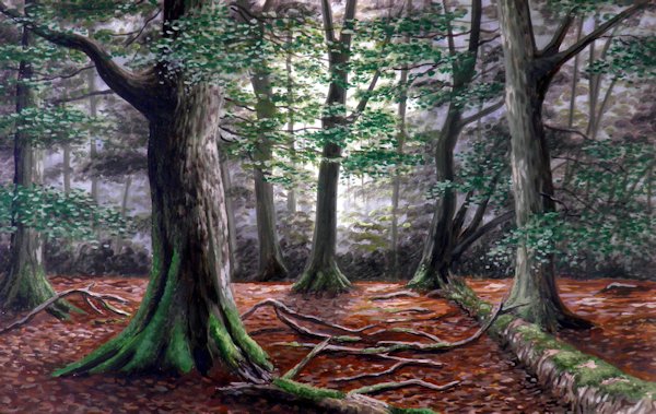 Natuur tafereel van verwilderd beukenbos