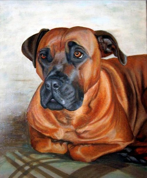 Schilderij van boerboel hond ( Afrikaanse waakhond )